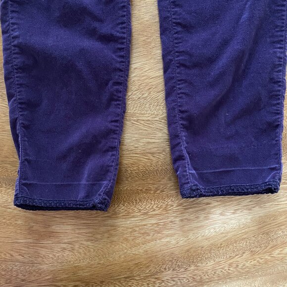 J. McLaughlin Velvet Pants - Picture 4 of 5